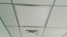 AMF плита Thermatex THERMOFON Hygena SK 600х600 мм
